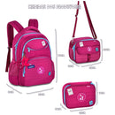 Kit LLC 2026 com 3 itens