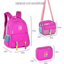 Kit LLC 2026 com 3 itens